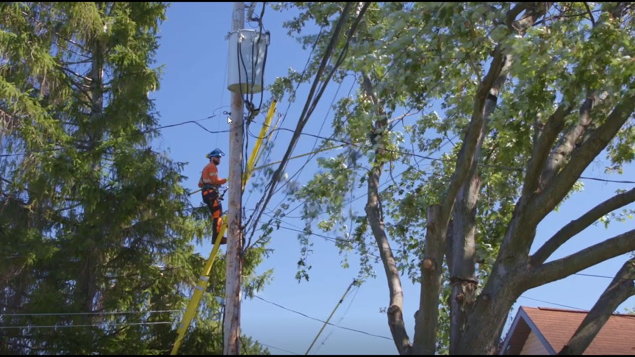 De l’énergie en trop ? Deviens arboriculteur réseau.