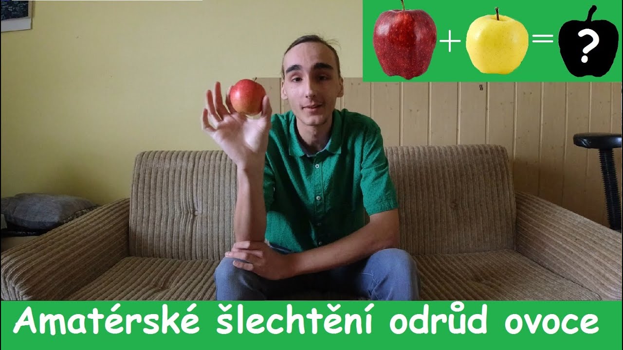 Jak si vyšlechtit vlastní odrůdu ? Amatérské šlechtění ovocných stromů.