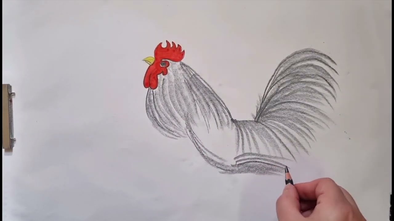 I Drew a Rooster… and It Turned Out Insanely Realistic 😳🐓
