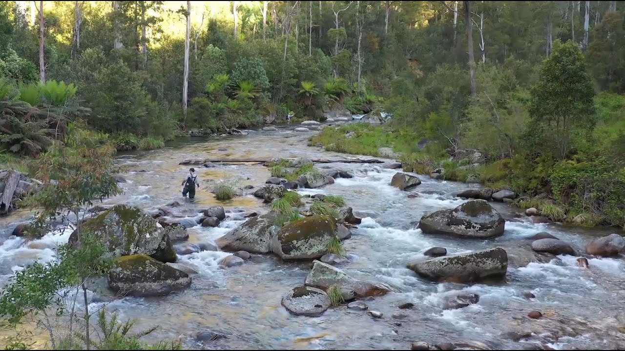 Stan&rsquo;s Weekly Adventures &ndash; fly fishing in the West Kiewa River
