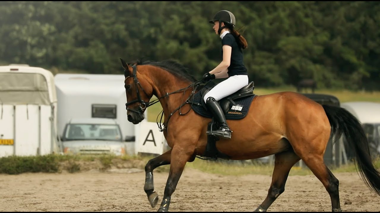 Springstævne på Ballerup Rideklub