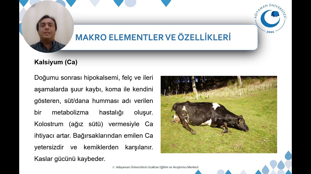 Mineral Maddeler