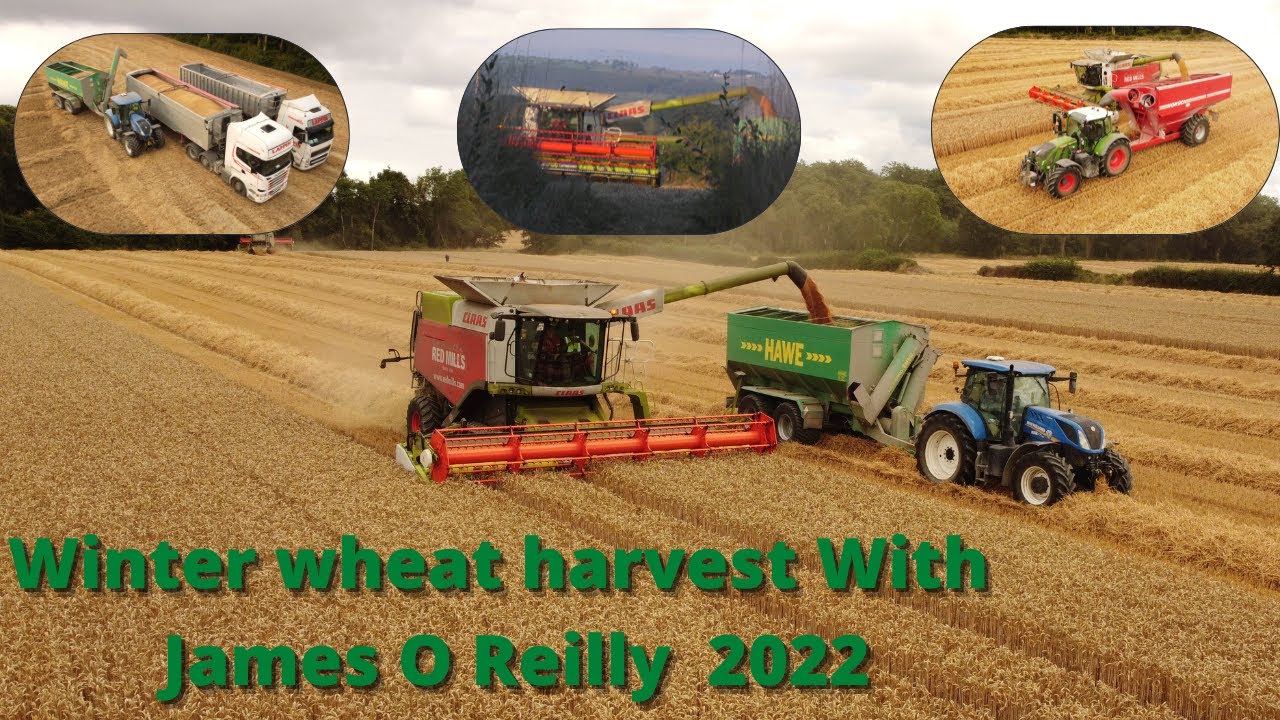winter wheat harvest James o Reilly 2022 Redmills