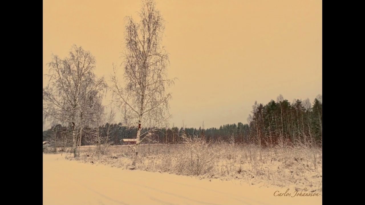   Winter Winds for Strings