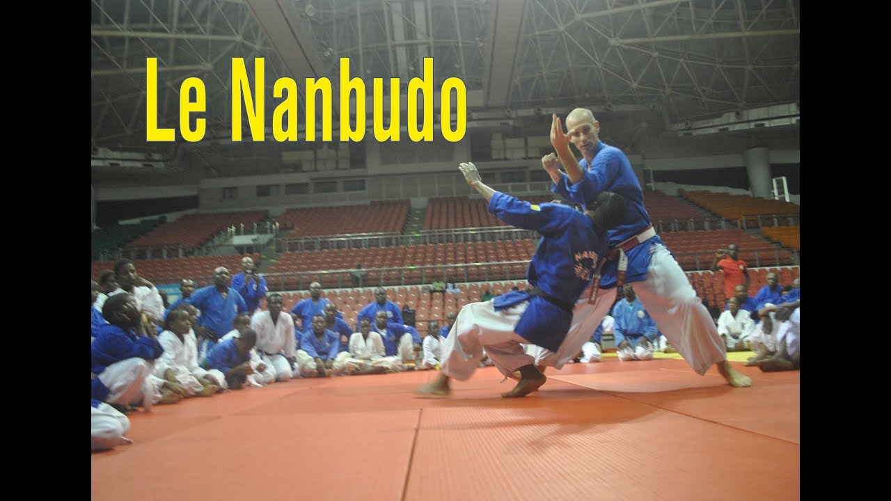 Nanbu Sotai et Suwari Randori exécuté par Daï Shihan Maître Léo Rafolt (Nanbudo)