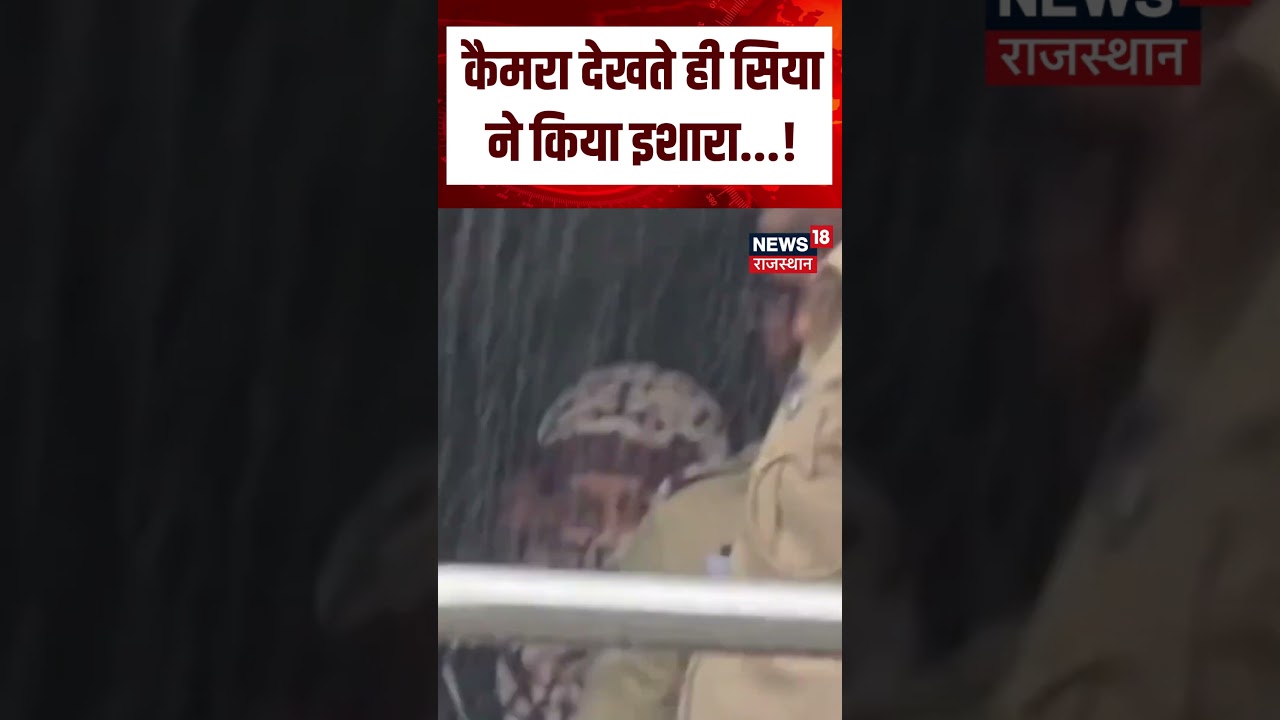 Siya Goyal Viral Video : कैमरा देखते ही सिया ने किया इशारा...! | N18S | Pune news | Viral News | Top