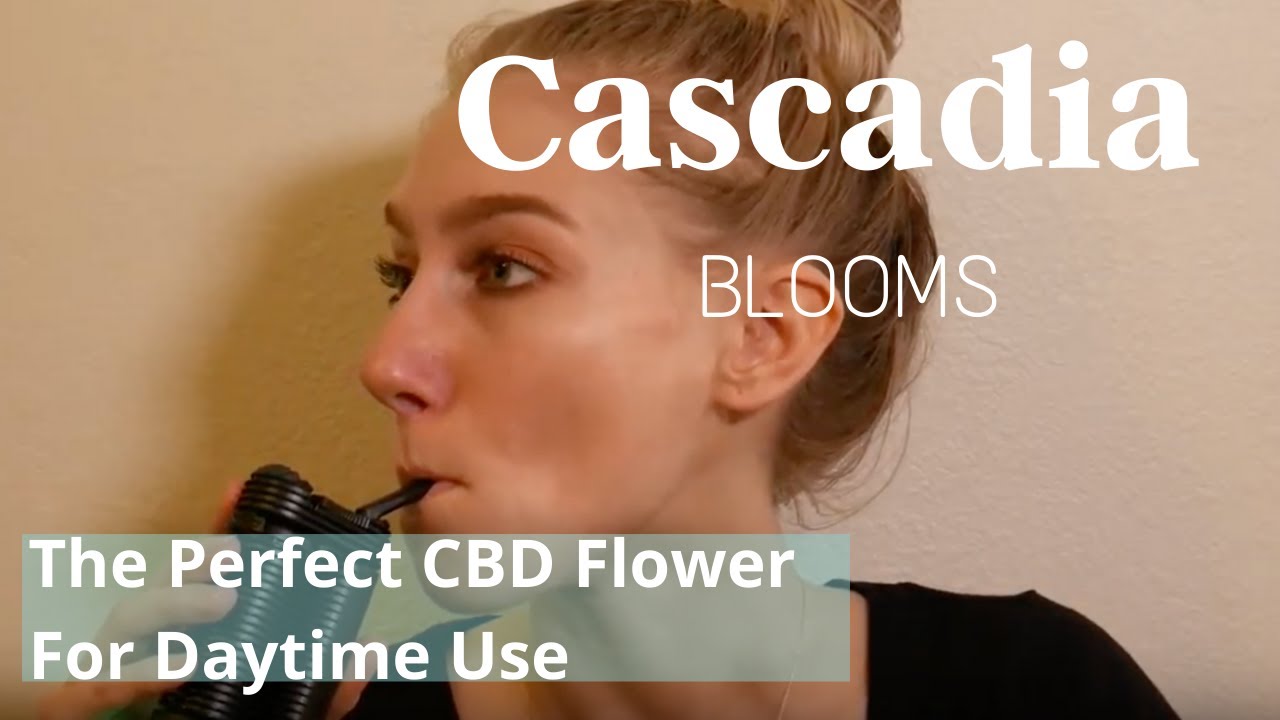 The Perfect CBD Flower For Daytime Use ☀️☀️