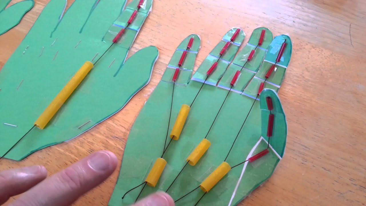 Robot Hand Project Discovery