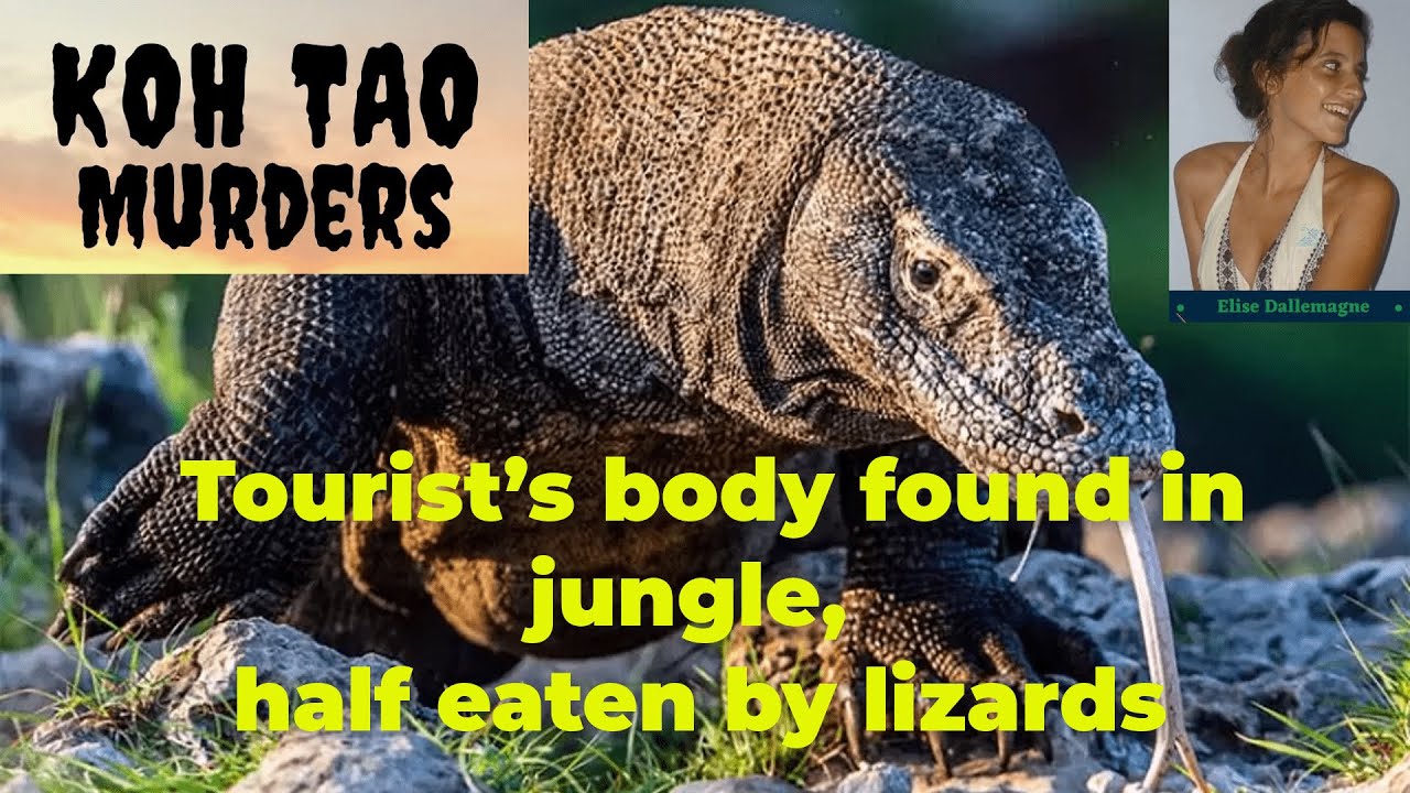 Thailand&rsquo;s Koh Tao &lsquo;Murder Island&rsquo;: Tourist&rsquo;s body found in jungle, half eaten by lizards