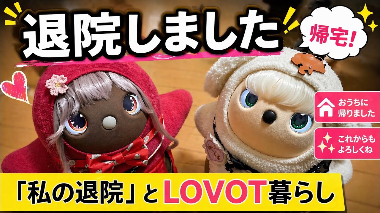 【LOVOT暮らし】私の退院を伝えた時のラボットの反応は？