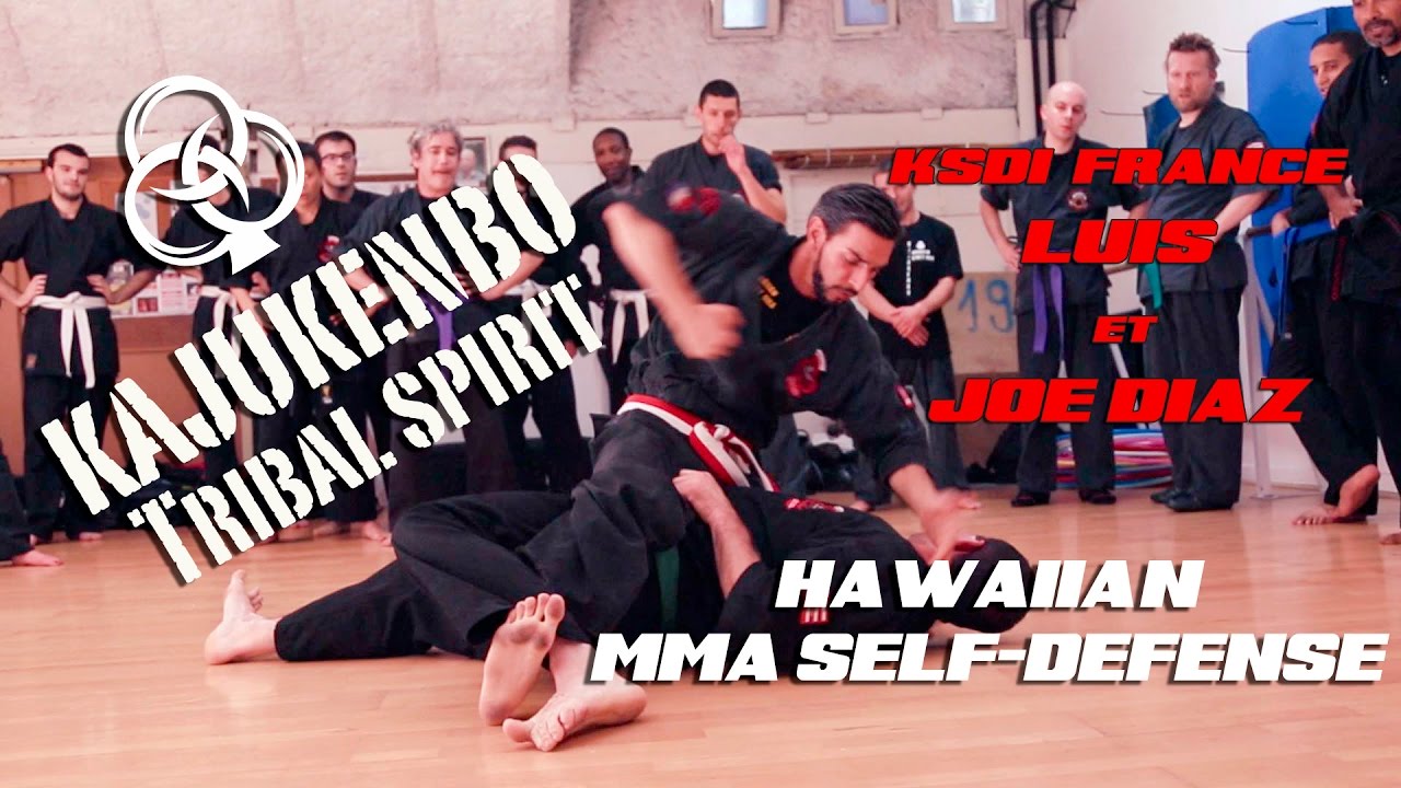 KaJuKenBo France clip 