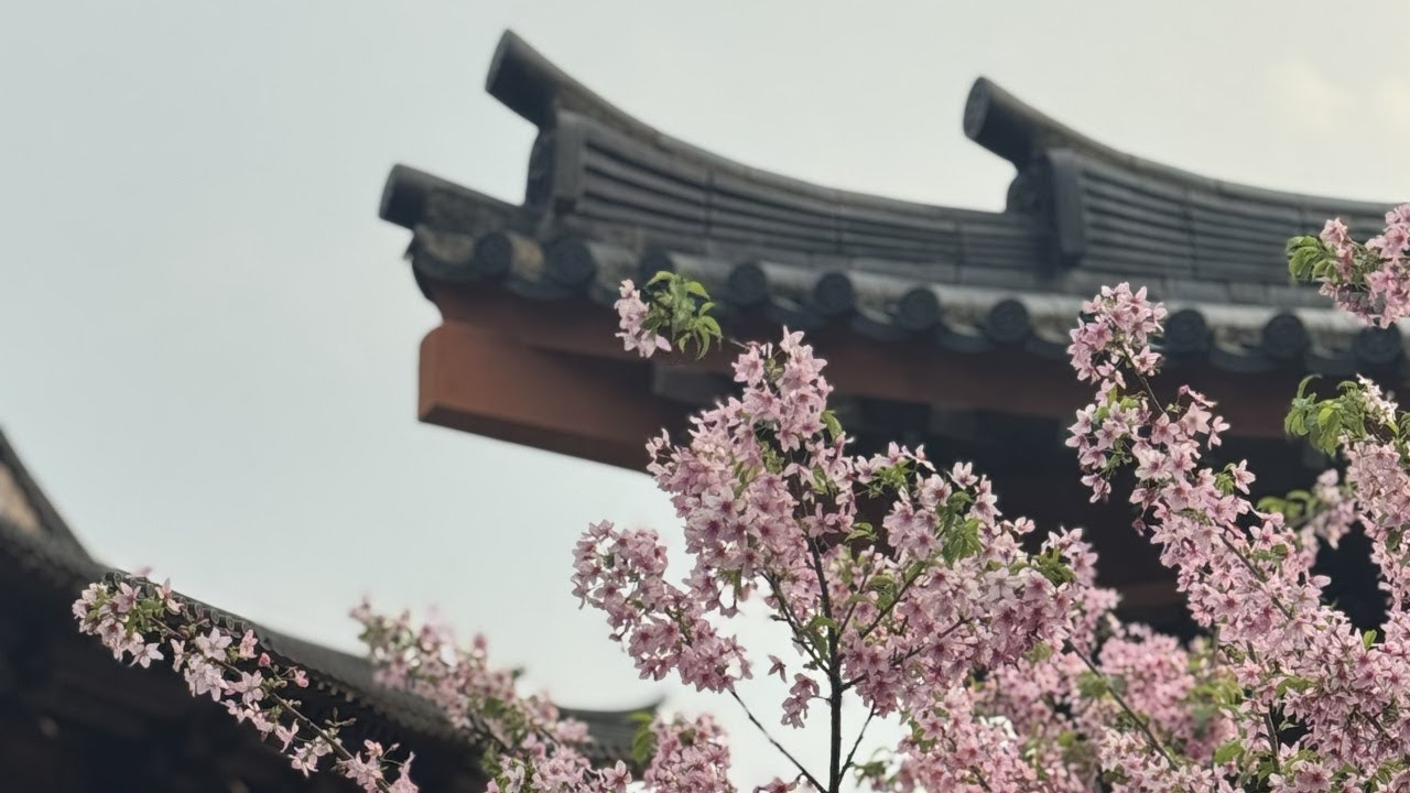 Wanfu Temple on Mount Huangbo | 黄檗山万福寺