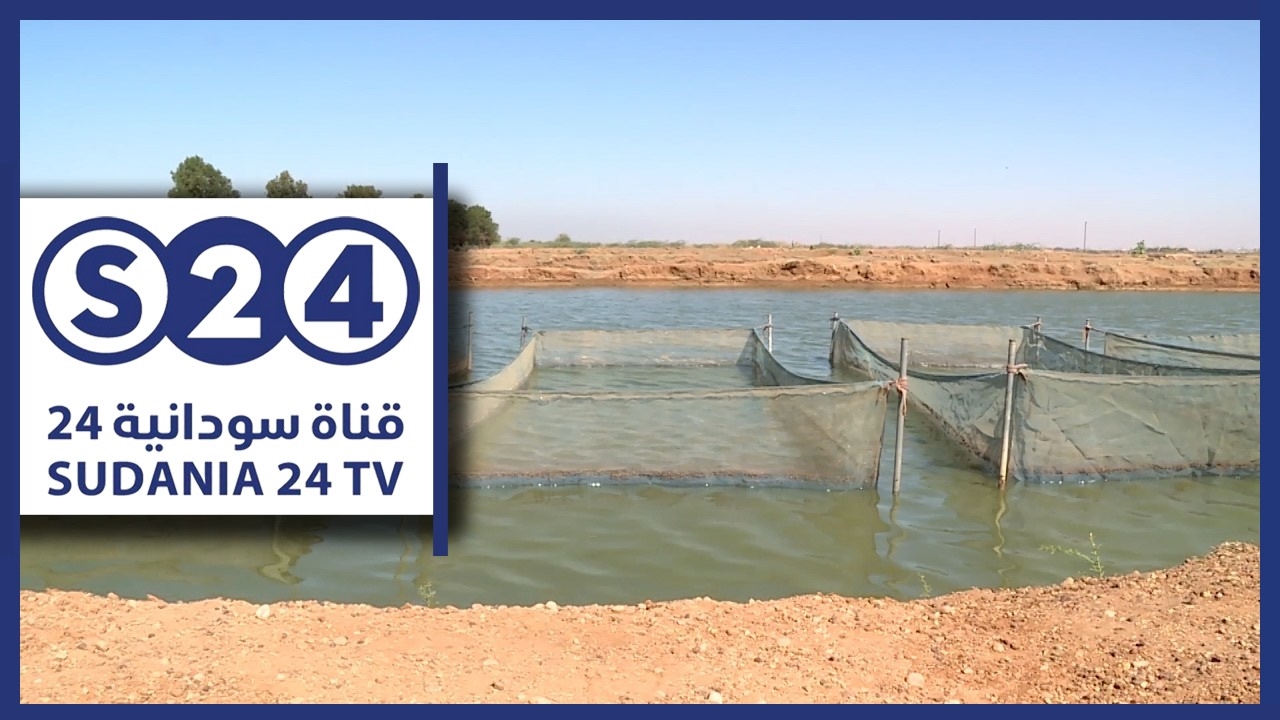 زراعة الاسماك في السودان - أرض الفرص
