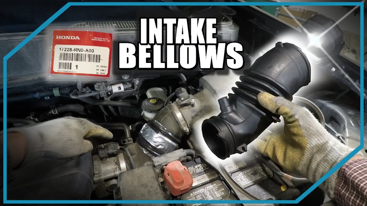 basic auto: Intake plenum bellows (09-15 Honda Pilot, many others)