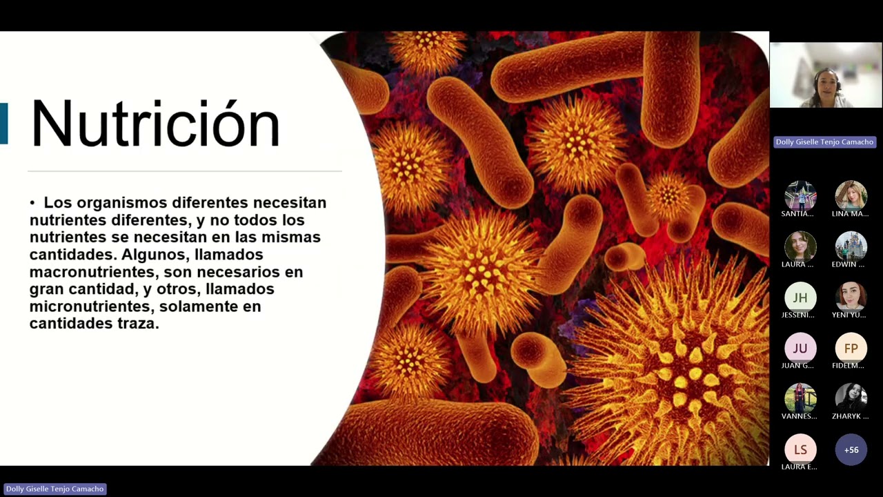 Tarea 2  Nutrición y crecimiento microbiano 20260220 181150 Grabación de la reunión
