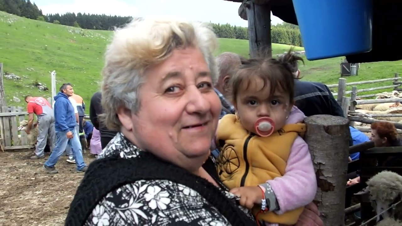 VELIKA BREZOVICA - MUŽA OVACA PRED LETNJU ISPAŠU -10 MAJ 2025.