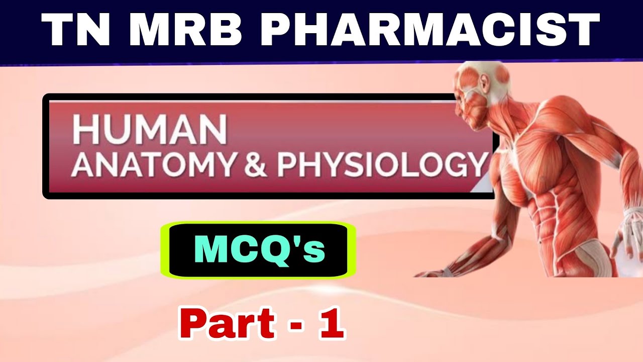 Human anatomy and physiology MCQs / TN MRB Pharmacist Test series||important topics for pharmacist