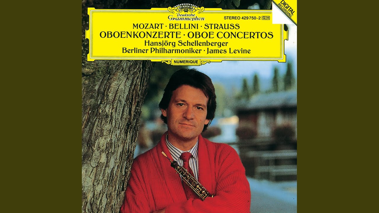 Mozart: Flute Concerto No.2 in D, K.314 - Original version for oboe: 2. Adagio non troppo