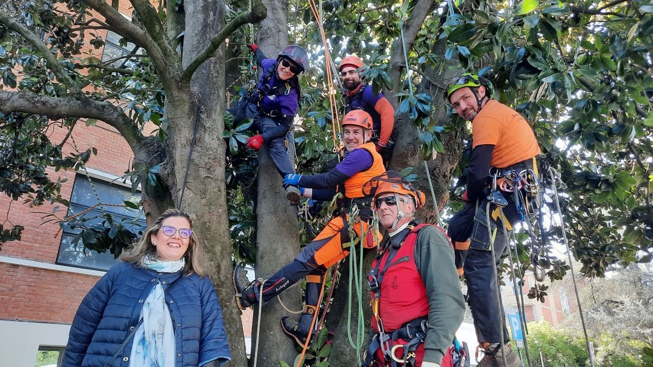 Facciamo belle le magnolie: tecniche avanzate di arboricoltura con i manutentori del verde di Cna