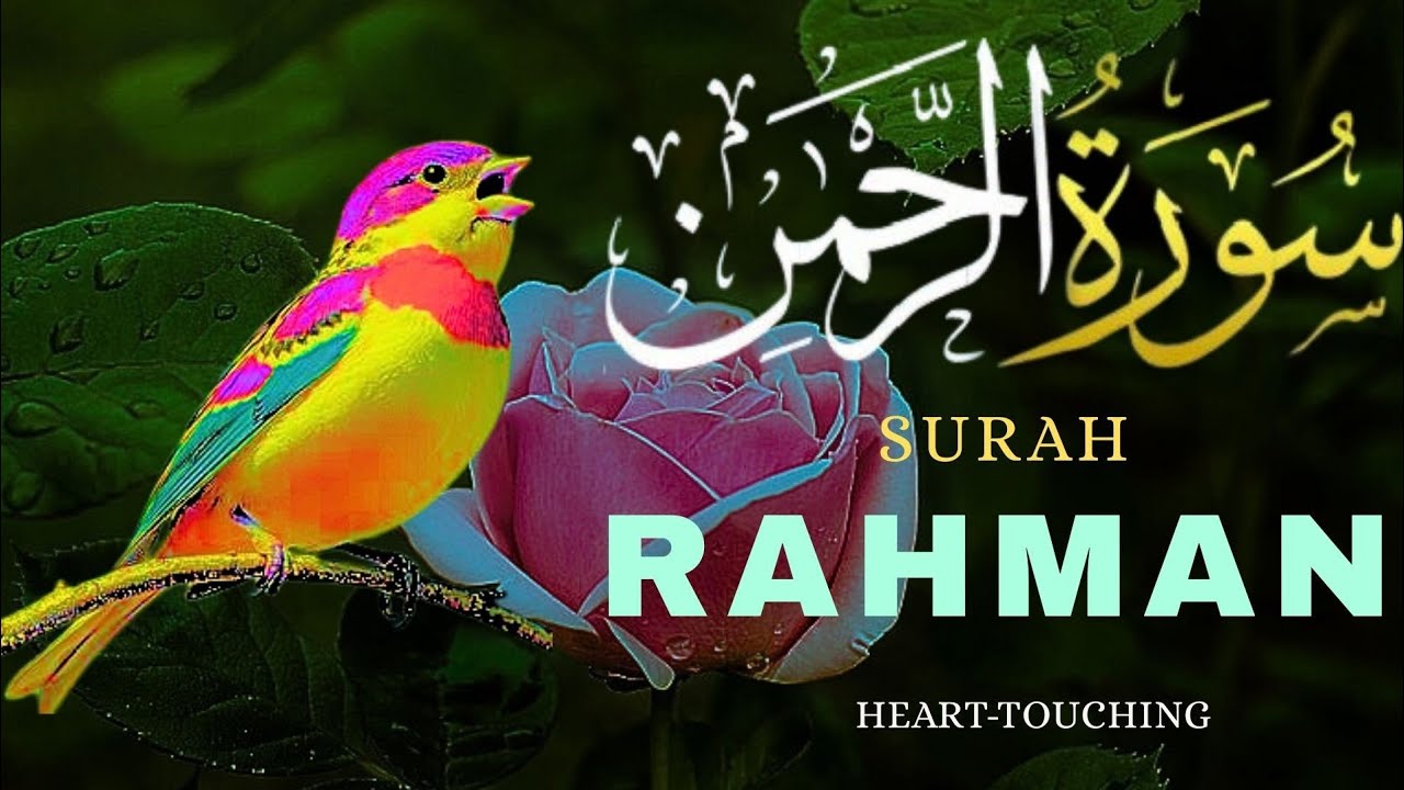 Surah Ar Rahman Episode 11 | Beautiful Quran Recitation | Zikr e Quran Recite