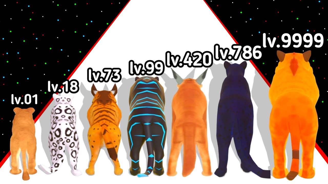Cat Evolution Run 3D Game Level Up Cat Max Level Gameplay (New Update)2024