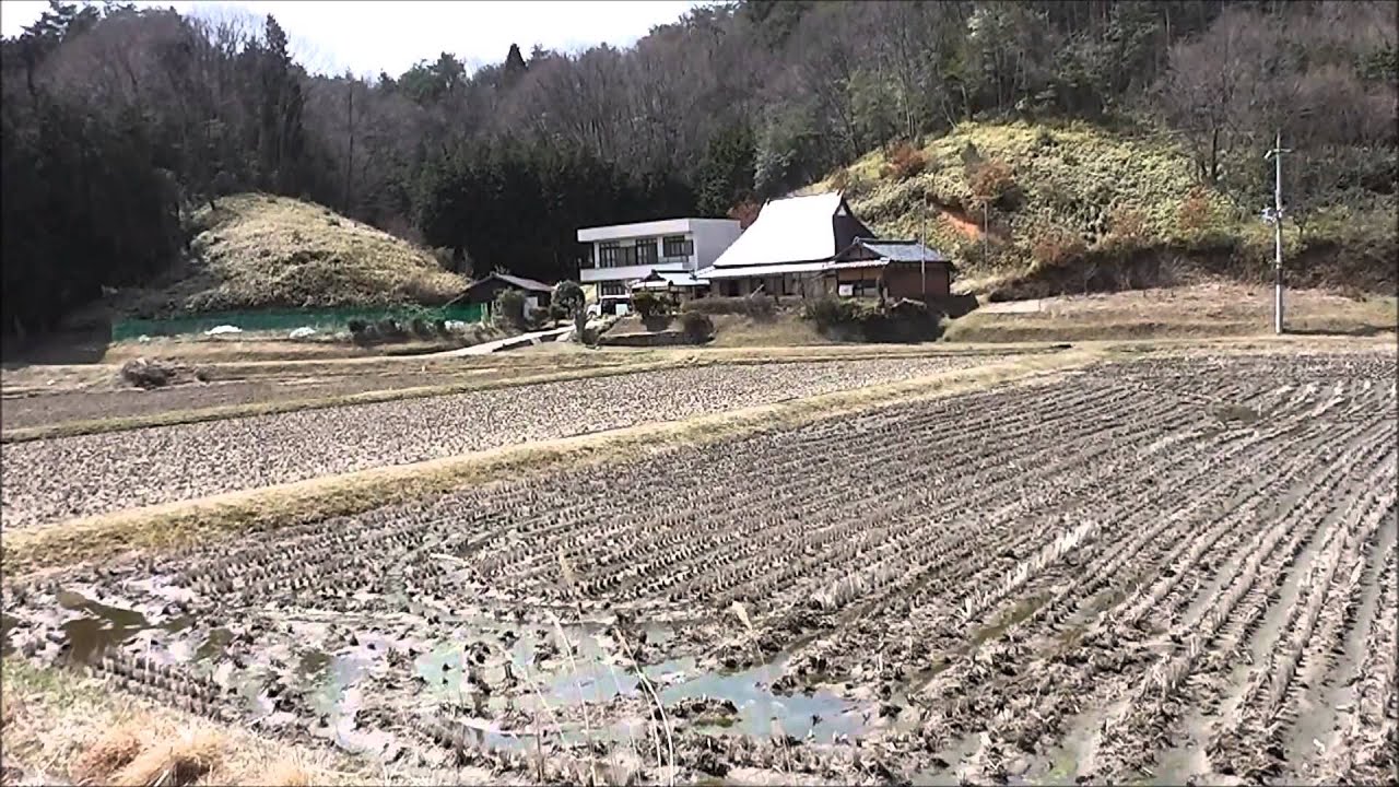 Mikuni-goe Rindo (Mikuni Forest Road).