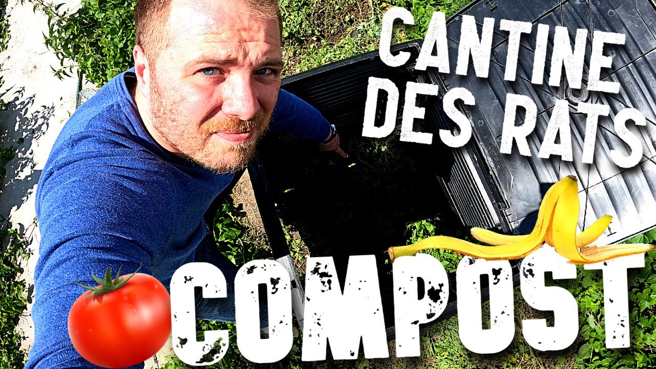 Comment se débarrasser des rats dans un composteur ? (1/2)