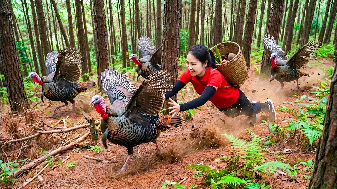 Harvest Wild Turkeys in the Forest & Go To Market Sell | 180 Days of survival in the deep jungle