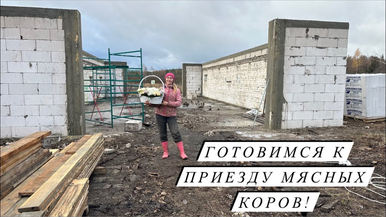 Часть 1. Строим НОВУЮ ФЕРМУ для Герефордов! КОРОВНИК, АНГАР, ЗАБОР - и это только НАЧАЛО!
