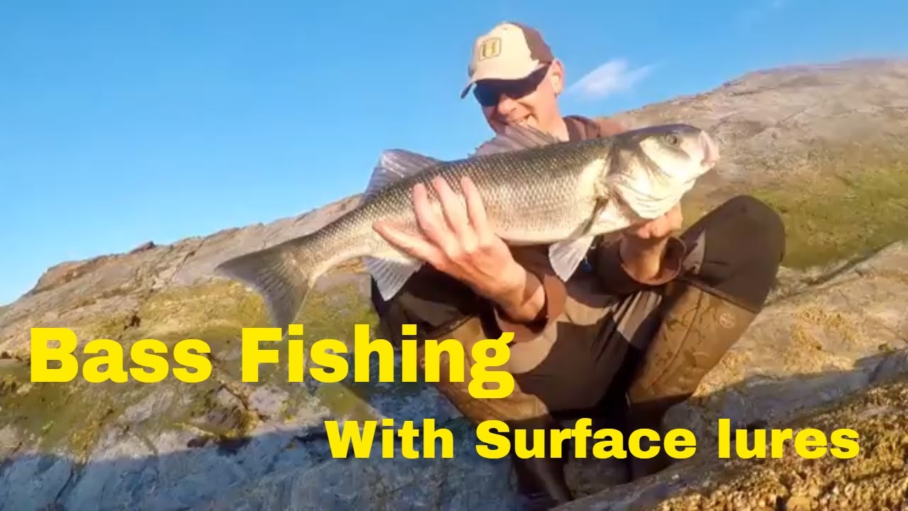 UK Bass fishing with Surface Lures- biggest bass of 2018