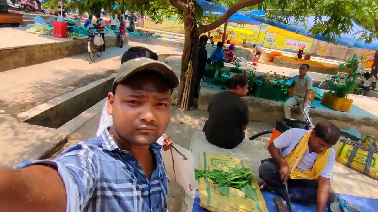 Today's Shopping || Fertilizer's daily market sector 22