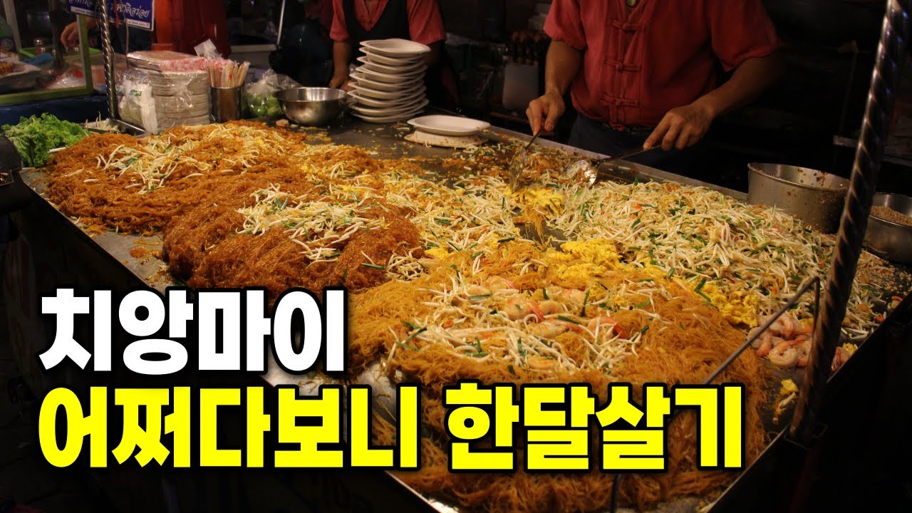 치앙마이 혼자 여행, 어쩌다보니 한달살기 | 4일만 있으려다 한 달 눌러앉은 치앙마이 브이로그 | 타패게이트, 람푸하우스, 블루누들, 재즈바 [치앙마이 1]