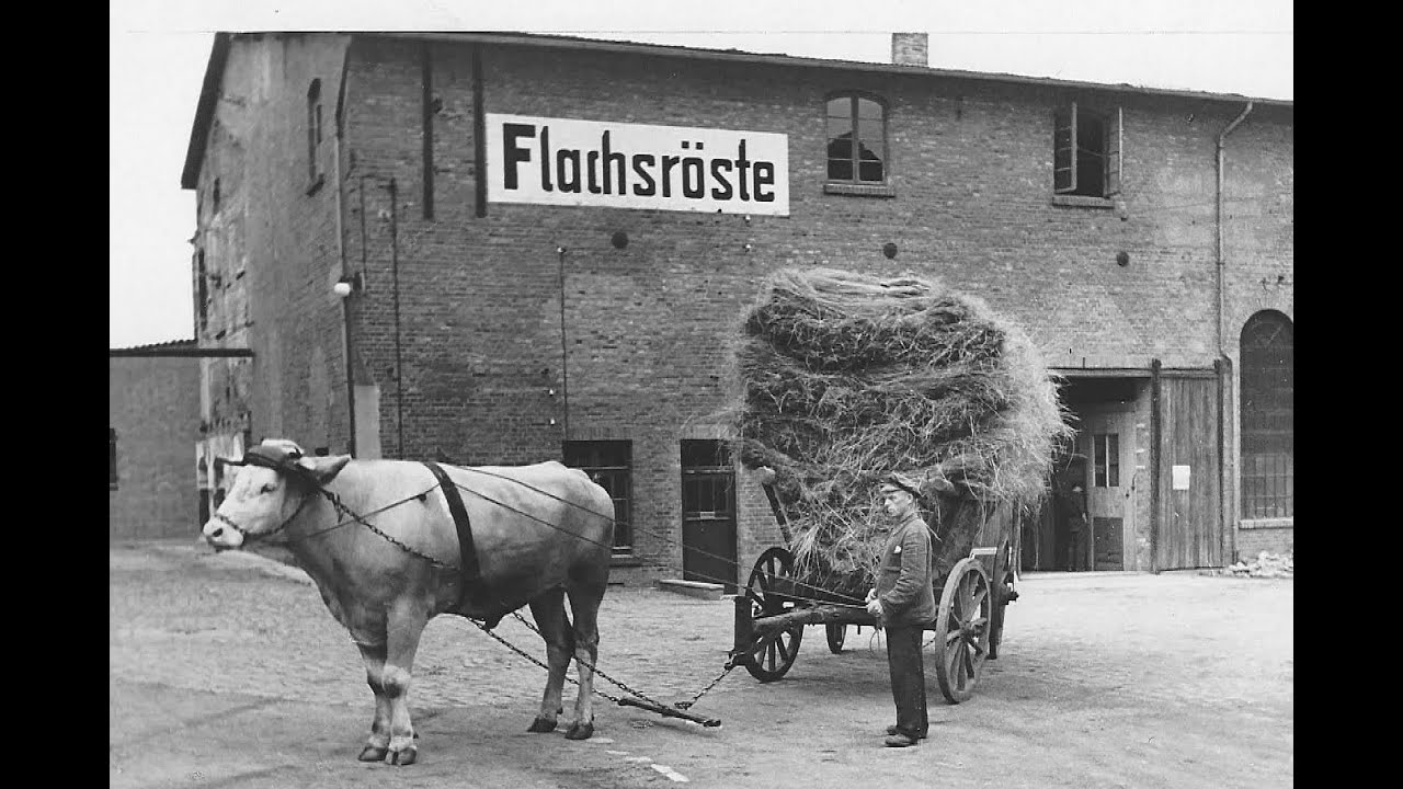 Bad Gandersheim 2024 Museum Flachsröste Diethelm Klotz