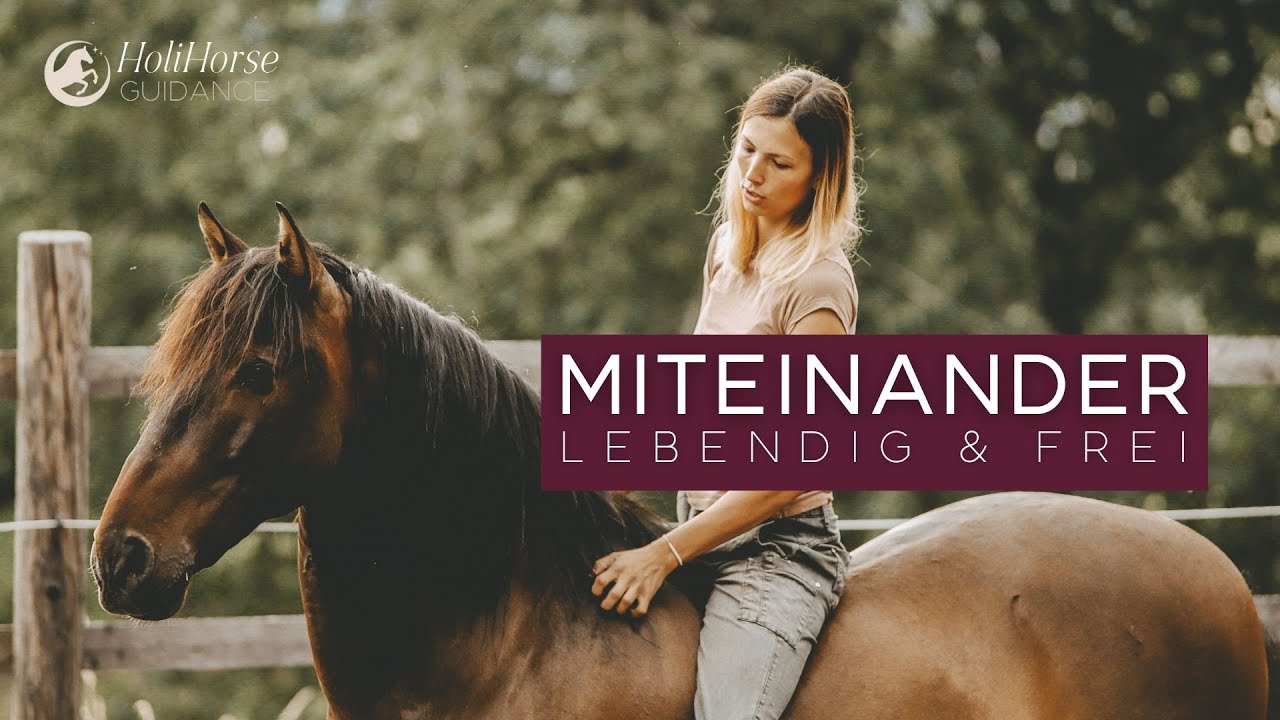 Freies Zusammensein mit Pferden | Reiten | friedvolle Pferdewelt | natürliche Kommunikation