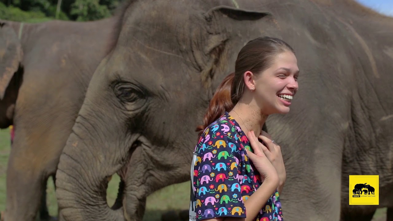 Ethical Elephant Sanctuary, Chiangmai Thailand