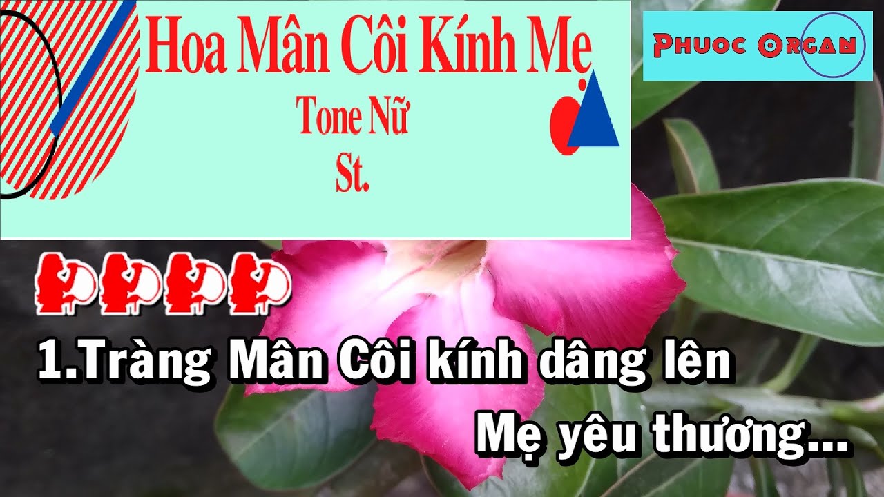 Hoa Mân Côi Kính Mẹ Karaoke Tone Nữ (St: Lê Quang Ánh) | Thánh Ca | Nhạc Sống | Phước Organ