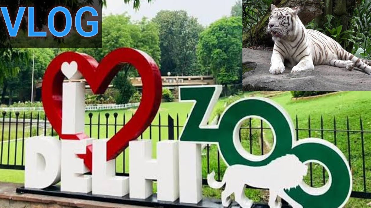 Delhi Zoo Vlog: Educational wildlife adventure in National zoological park #wildlife #biodoors #zoo 