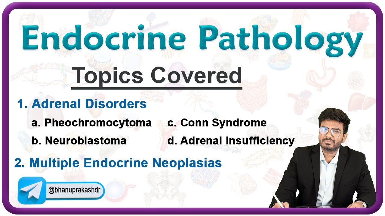 Pheochromocytoma, Conns syndrome, Neuroblastoma, Adrenal insufficiency and MEN syndromes