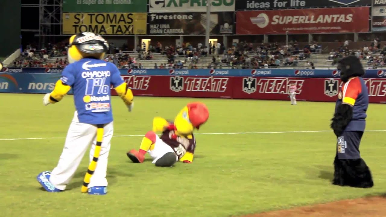 Festival de Mascotas 2013