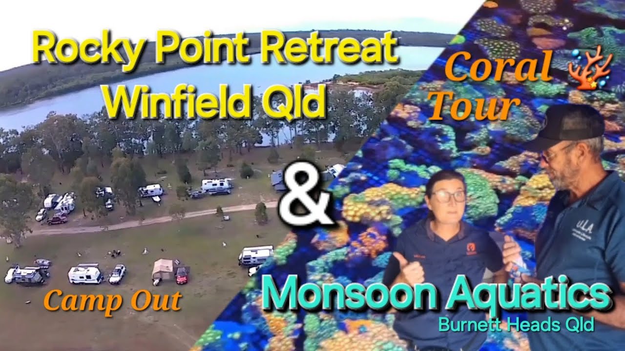 Monsoon Aquatics Burnett Heads, a must do tour.