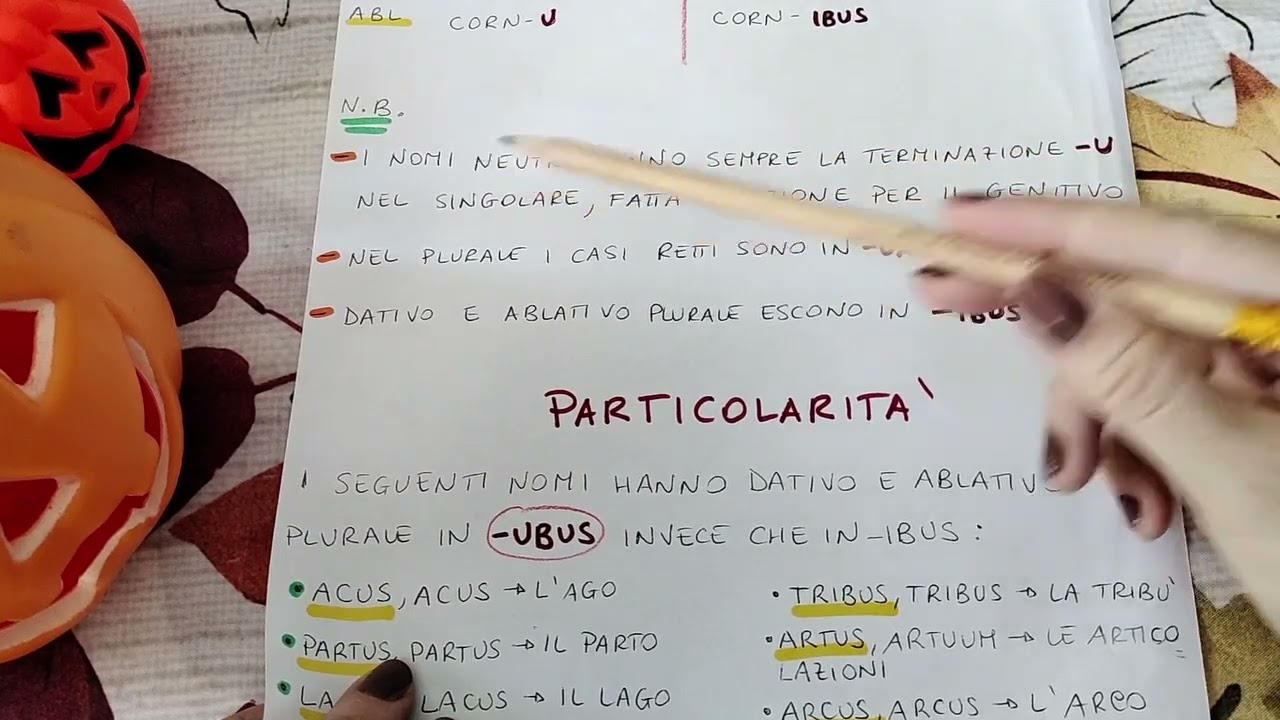 Lezione 26  - La quarta declinazione latina