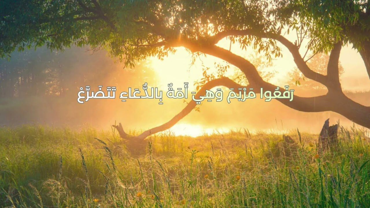 The Cry of Truth | Sayhatul Haqq | نشيد التوحيد