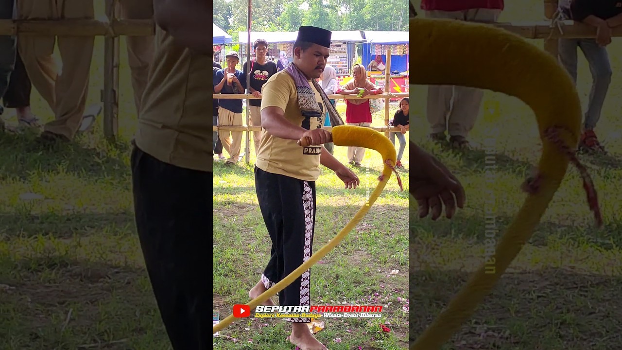 SUARA ASLI PECUT SAMANDIMAN