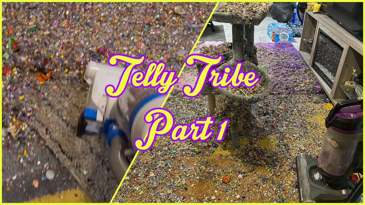 Telly Tribe Part 1