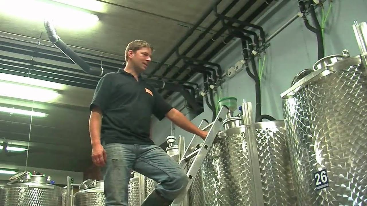 Kollerhof - Im Weinkeller