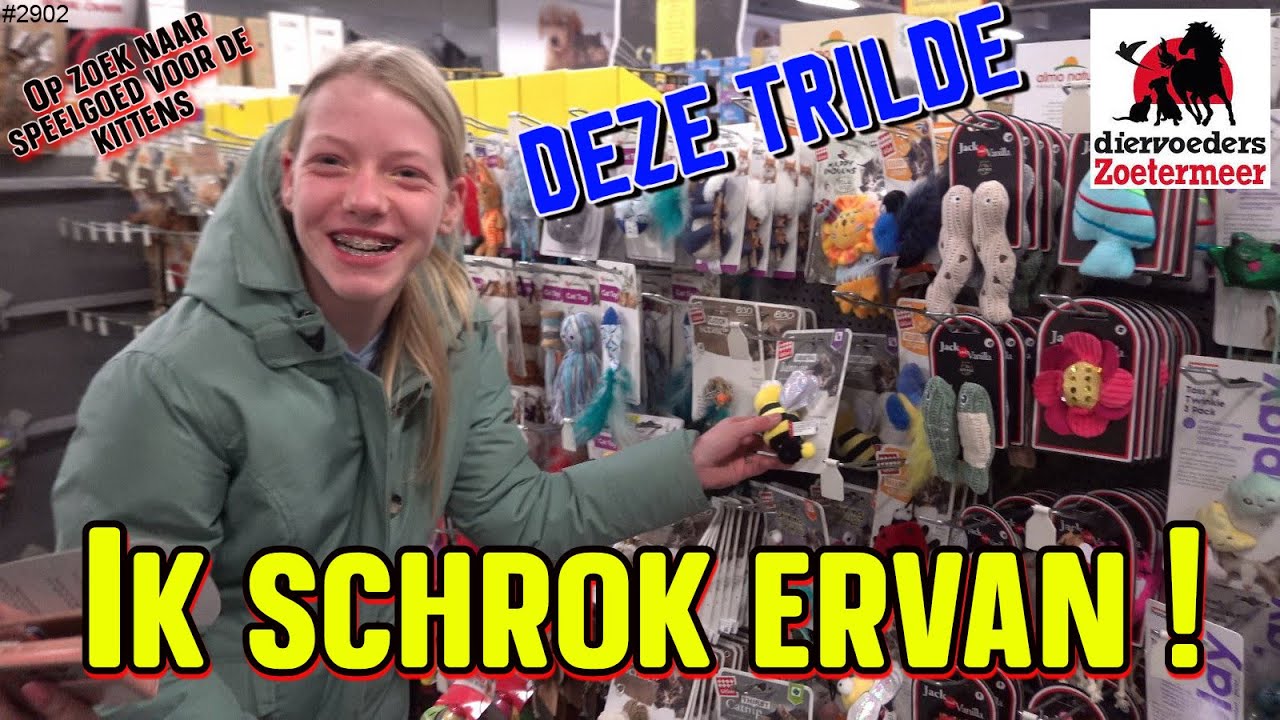 SPEELTJES kopen voor de KITTENS die we spoedig thuis hebben lopen. Op bezoek bij DIERVOEDERS 