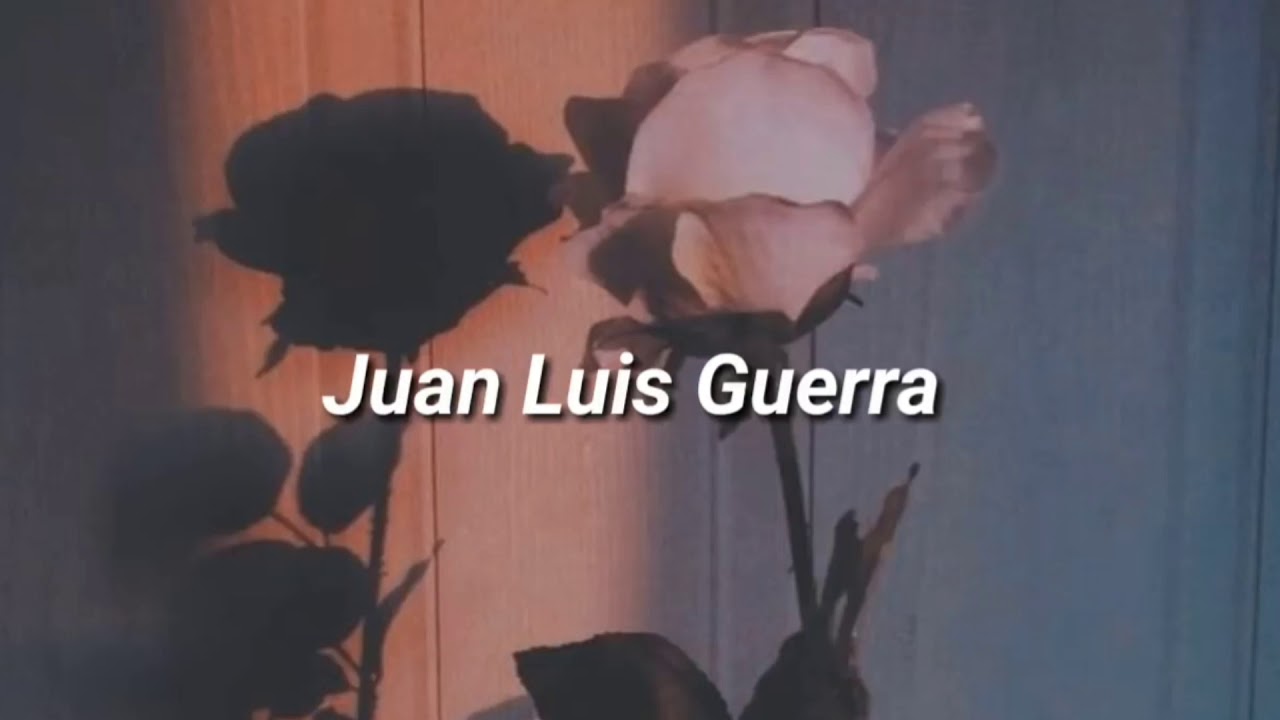 Te regalo una rosa (letra lyrics)Juan Luis Guerra