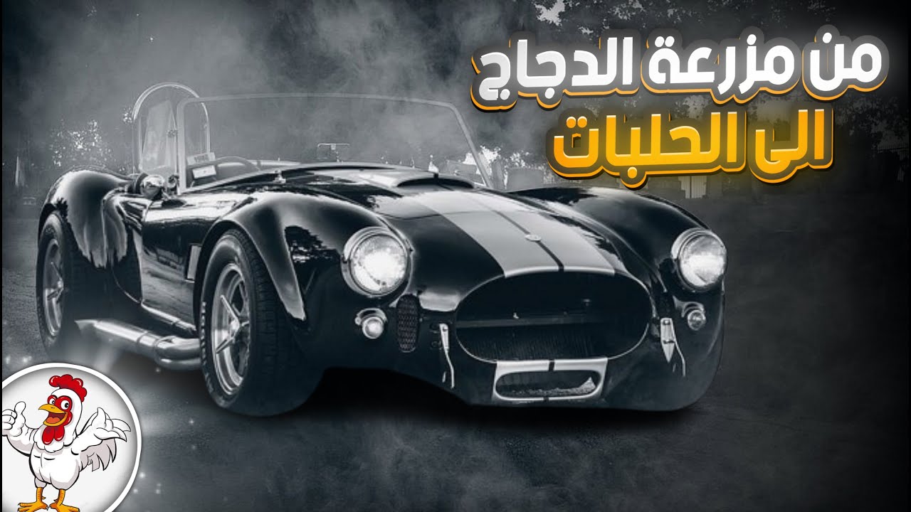 من مزرعة الدجاج الى سيارة حلبات . . Shelby cobra | برنامج عراب السيارات