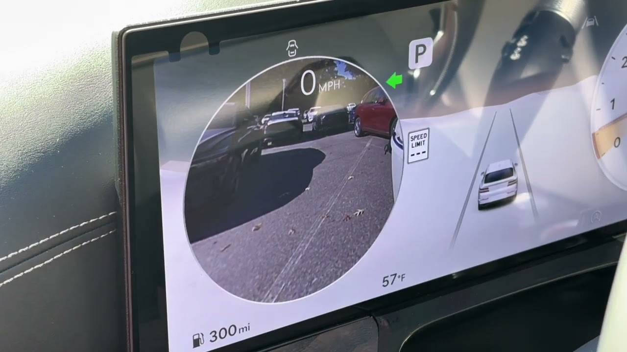 Genesis Blind Spot Monitor