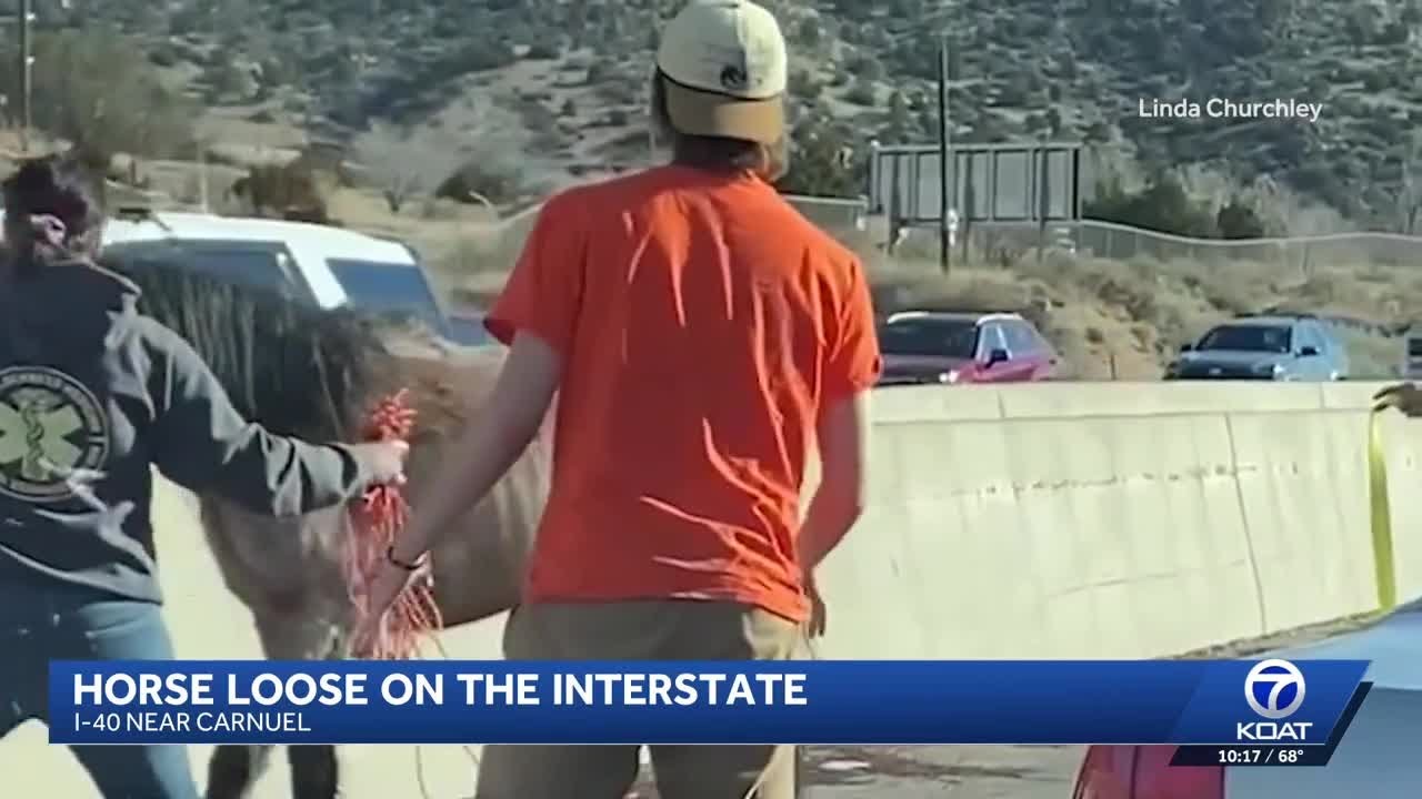 Horse running on Interstate 40 near Albuquerque